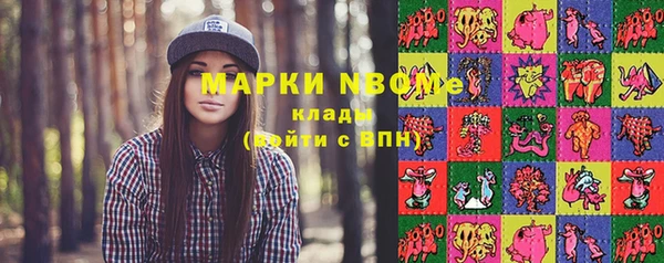 гидра Алексин