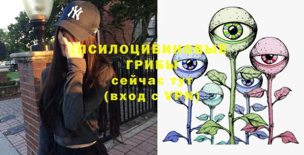 гидра Алексин