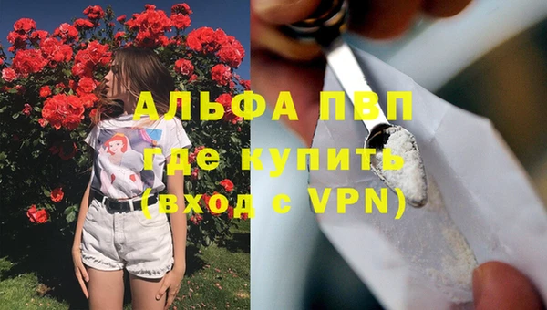 гидра Алексин