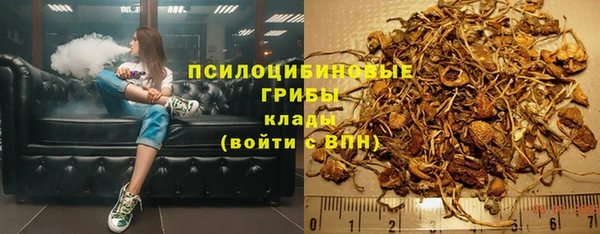 гидра Алексин