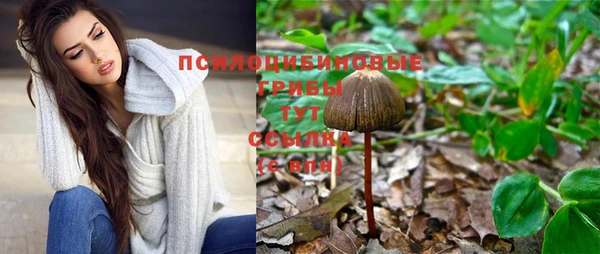 гидра Алексин